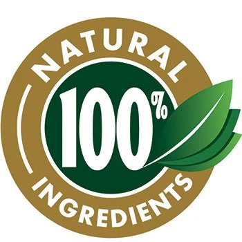 ProvaDent all natural vegan ingredients